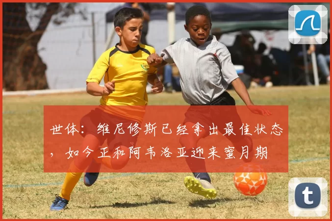 世体：维尼修斯已经拿出最佳状态，如今正和阿韦洛亚迎来蜜月期